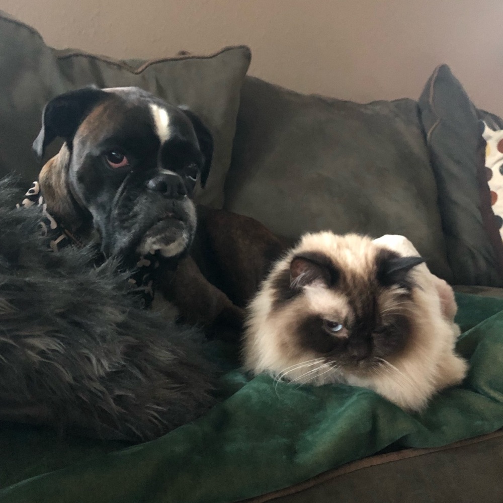 Meet your Posher, Kristine